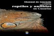 Manual de tenencia y comercio responsable de reptiles y anfibios 