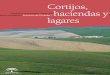 Cortijos, haciendas y lagares en la provincia de Córdoba