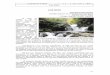 Los ríos1,1 MB 18 páginas