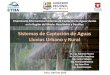 Sistemas de Captación de Aguas Lluvias Urbano y Rural