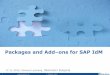 Packages and Add-ons for SAP IdM