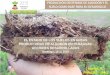 El estado de los suelos en áreas productoras de algodón en Paraguay: acciones desarrolladas  -  Presentación Ken Moriya, MAG, PAraguay
