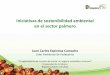 Iniciativas de sostenibilidad ambiental en el sector palmero. Juan 