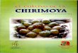 Cultivo de la Chirimoya (11 MB)