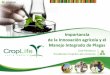 MIP – José Perdomo – Innovación Agrícola