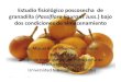 Estudio fisiológico poscosecha de granadilla (Passiflora liguraris 