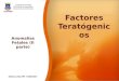 Factores Teratogénicos