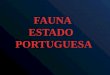 Fauna estado portuguesa