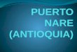 Puerto nare (antioquia)