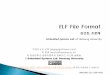 ELF File Format.pdf