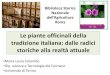 Le piante officinali della tradizione italiana: dalle radici storiche alla 