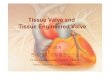 Tissue Valve and Tissue Engineered Valve