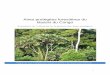 Aires protégées forestières du Bassin du Congo