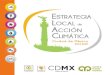 Estrategia Local de Acción Climática de la Ciudad de México 2014