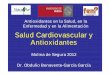 2012-02-21-Salud cardiovascular y Antioxidantes