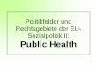 Public Health in Europa