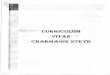 C. Steyn Curriculum Vitae