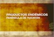 Productos endémicos de Yucatán
