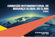 Comissão interministerial de mudança global do clima relatório de atividades 2013-2014