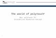 24 polytouch brick concept