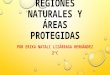 Evidencias fotográficas mapa de regiones naturales y áreas protegidas