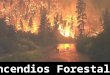 Incendios Forestales en Ecuador
