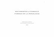 Iñaki   - Recorridos y posibles formas de la penalidad (pág. 77 a 90)