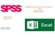 Importar datos de MS Excel a SPSS: Resultados