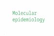 Molecular epidmiology