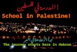 School in Palestine