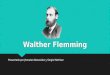 Walther flemming