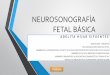 Neurosonografía fetal hdlm 2016x