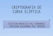 criptografia de curva elipticas