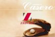 Legacy Casero Brochure - Zricks.com