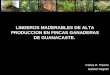 Linderos Maderables de Alta Producción en Fincas Ganaderas de Guanacaste; Costa Rica