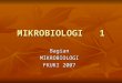 Mikrobiologi  jp