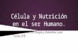 Célula y nutrición en el ser humano