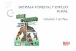 Biomasa forestal y empleo rural