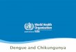 Dengue & chikungunya