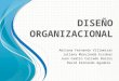 Diseño organizacional