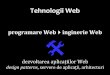Web 2016 (03/13) Programare Web – Servere de aplicații. Arhitectura aplicațiilor Web. Inginerie Web