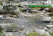 Biotope Aquarium Magazine 3