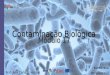 Contaminação Biológica