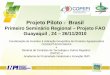 "Projeto Piloto - Brasil Primeiro Seminário Regional – Projeto FAO Guayaquil , 24 – 26/11/2010"