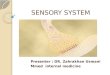 Sensory system. zk