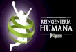 Programa de Liderazgo "Reingenieria Humana"