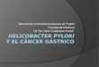 Helicobacter pylori y el cáncer gástrico