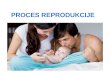 Proces reprodukcije