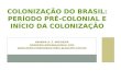 Período pré-colonial e início da colonização do Brasil