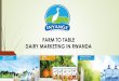 Farm to table; Dairy Marketing in Rwanda